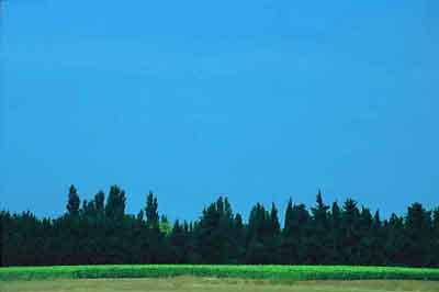 Camargue