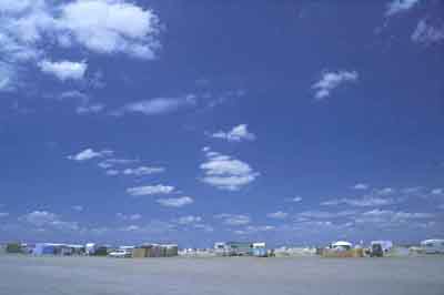 Camargue