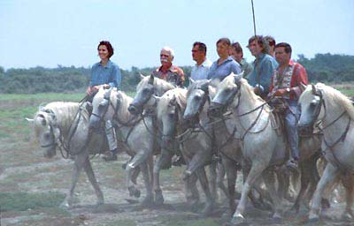 Camargue