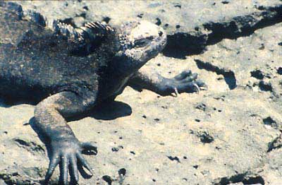 Ecuador