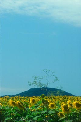 Hungary