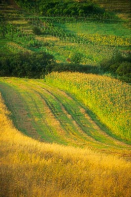 Romania