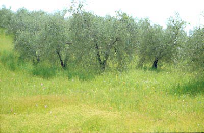 Toscana