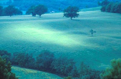 Toscana