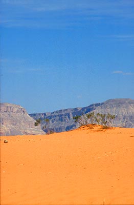 Utah Arizona
