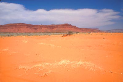 Utah Arizona