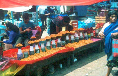 Yucatan Chiapas